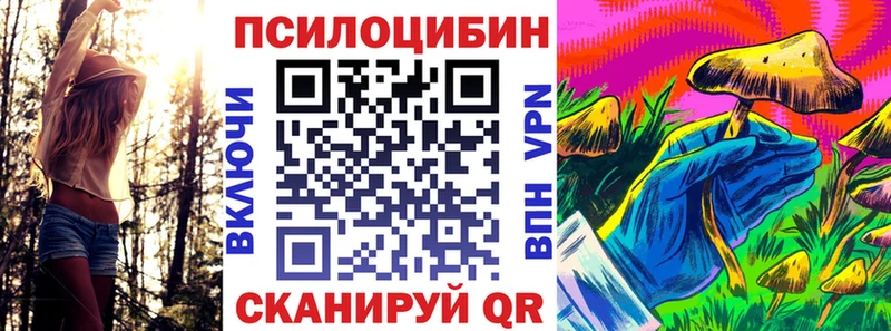 Псилоцибиновые грибы прущие грибы  Купить  Челябинск 